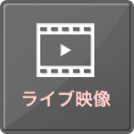 ボート 本日 レース 結果 の