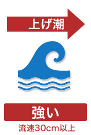ボートレース江戸川 スマートフォンサイト：潮・風向攻略法!